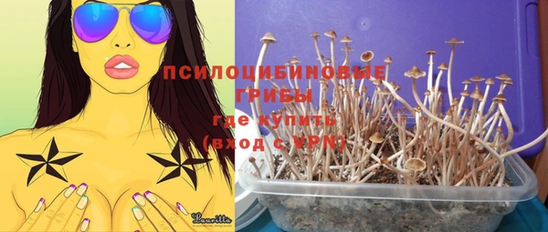 прущая мука Аркадак