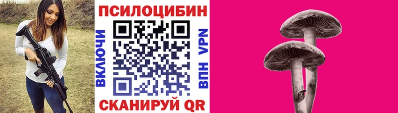 Псилоцибиновые грибы Psilocybine cubensis  Лакинск 